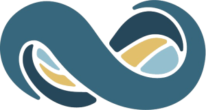 netsuite new logo